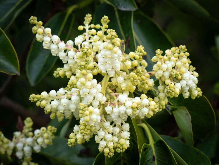 EcoWest News, April 22, 2025