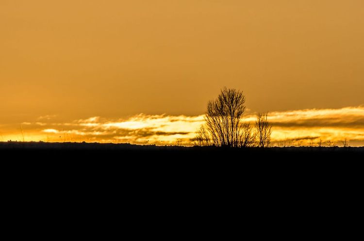 Community Leaders & Books: June 2025