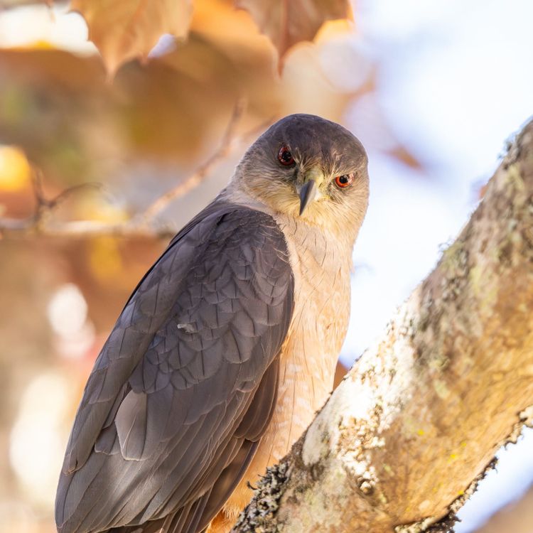 EcoWest News, July 8, 2025