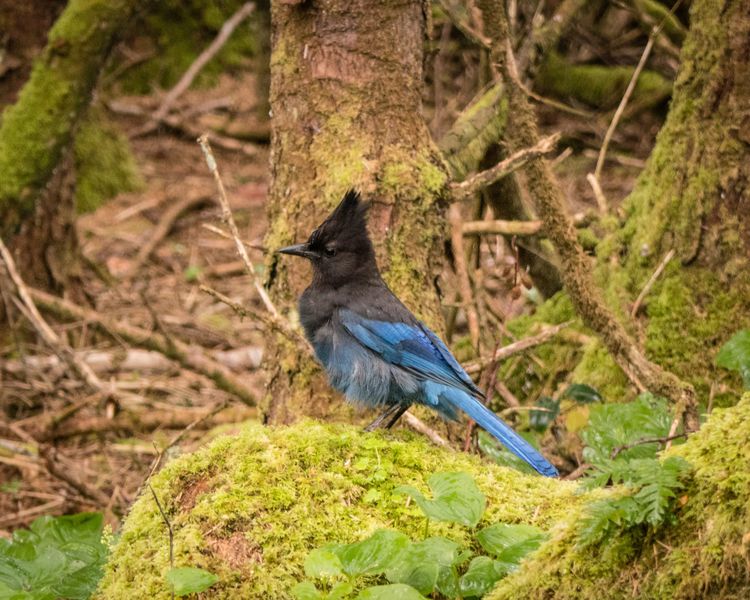 EcoWest News, September 30, 2025