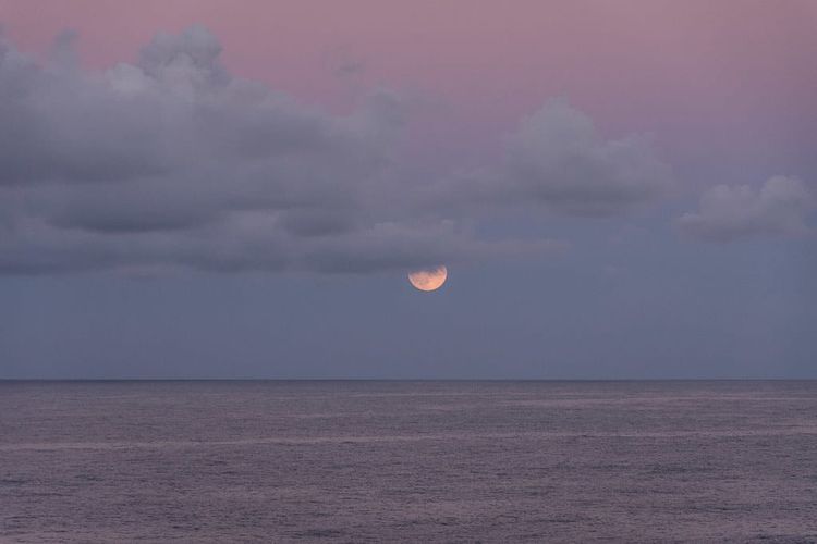 Community Leaders & Books: October 2025