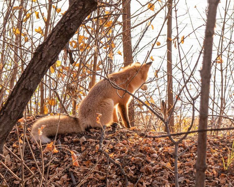 EcoWest News, December 2, 2025