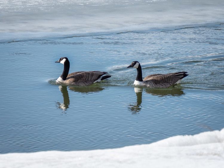 EcoWest News, January 20, 2026