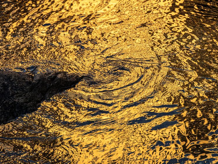 Community Leaders & Books: January 2026