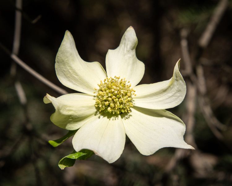 EcoWest News, May 5, 2026