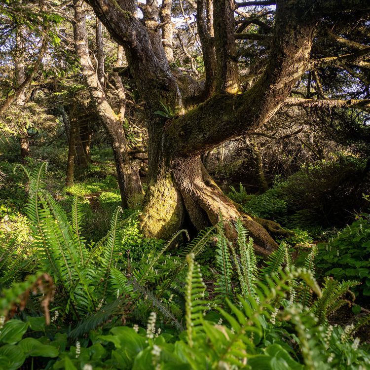 EcoWest News, June 2, 2026