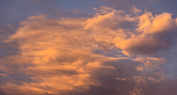 Community Leaders & Books: July 2026