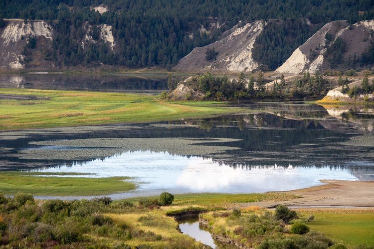 A Resource Guide to Western Canada's Peatlands