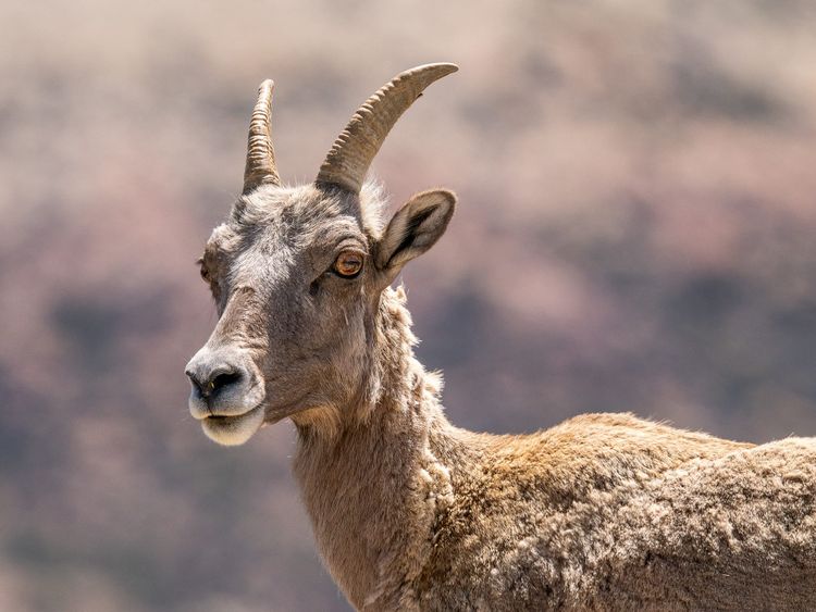 EcoWest News, September 22, 2026