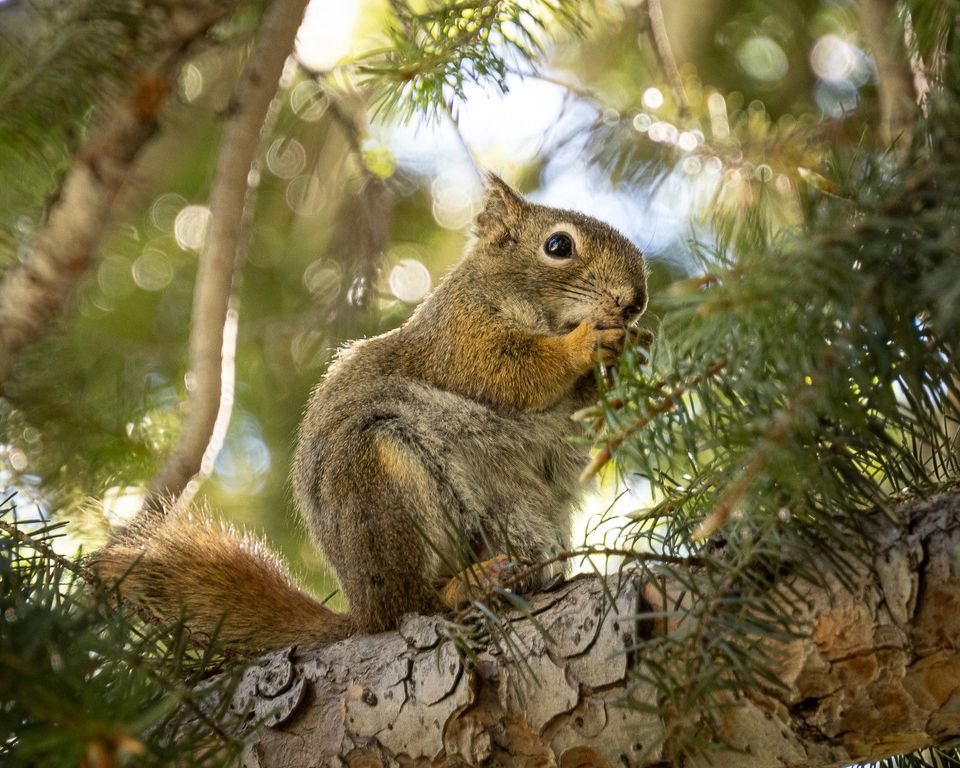 EcoWest News, August 9, 2022