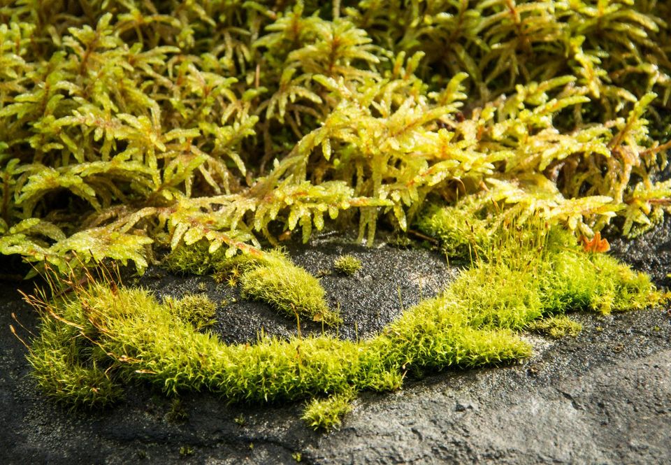 EcoWest News, September 27, 2022