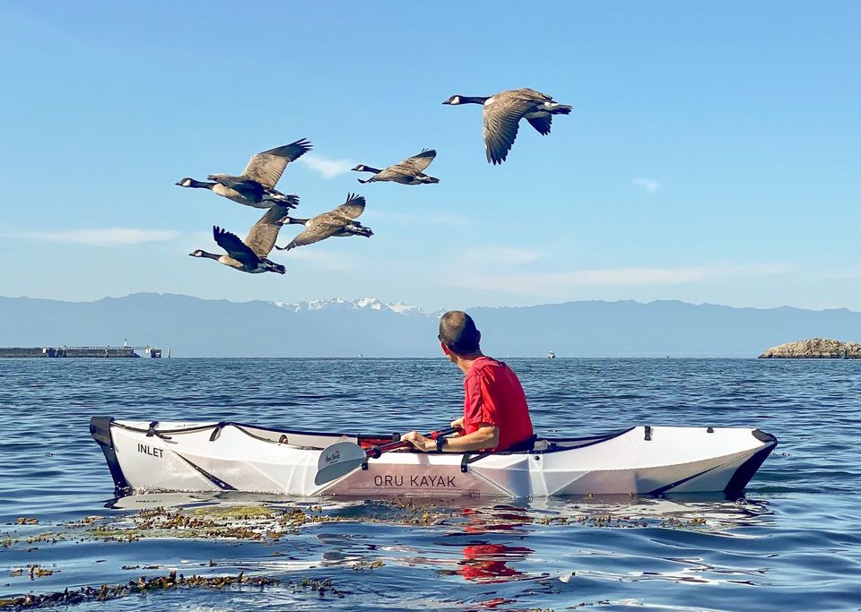 Les Activités en Plein Air / Outdoor Activities for Kids : Éco dans les Prairies