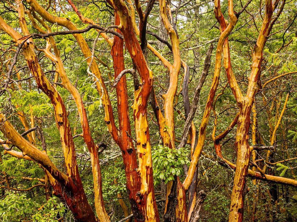 EcoWest News, January 24, 2023