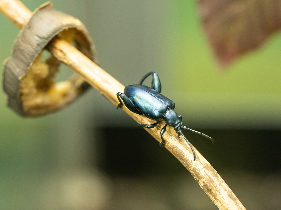 EcoWest News, March 28, 2023