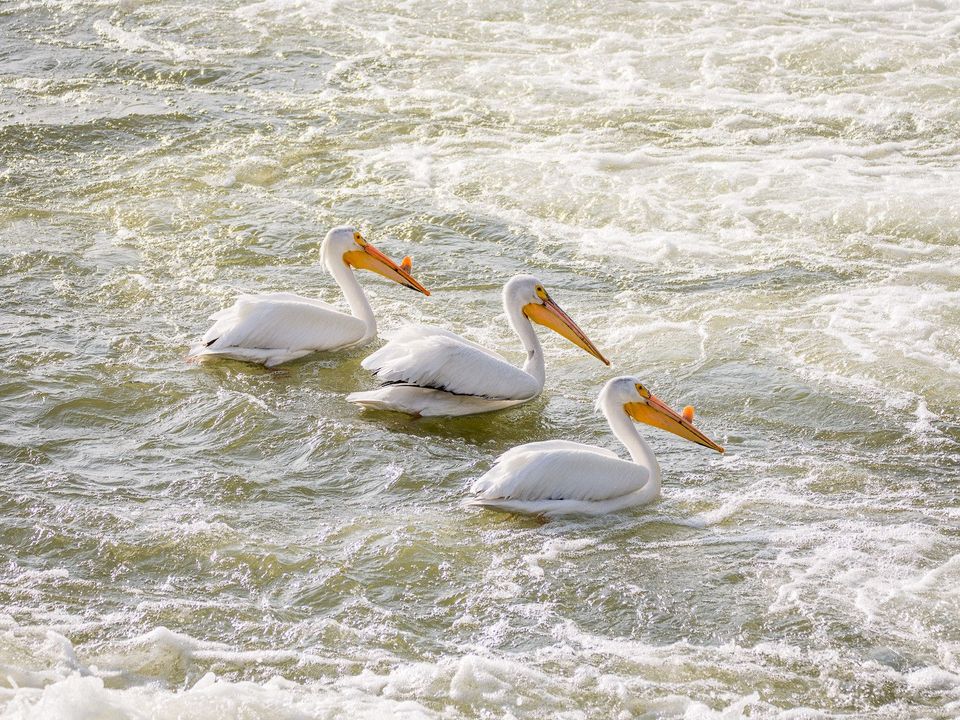 EcoWest News, April 18, 2023