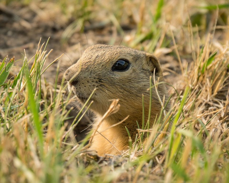 EcoWest News, May 23, 2023