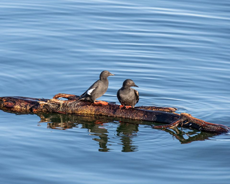 EcoWest News, May 16, 2023