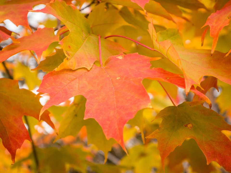 EcoWest News, September 26, 2023