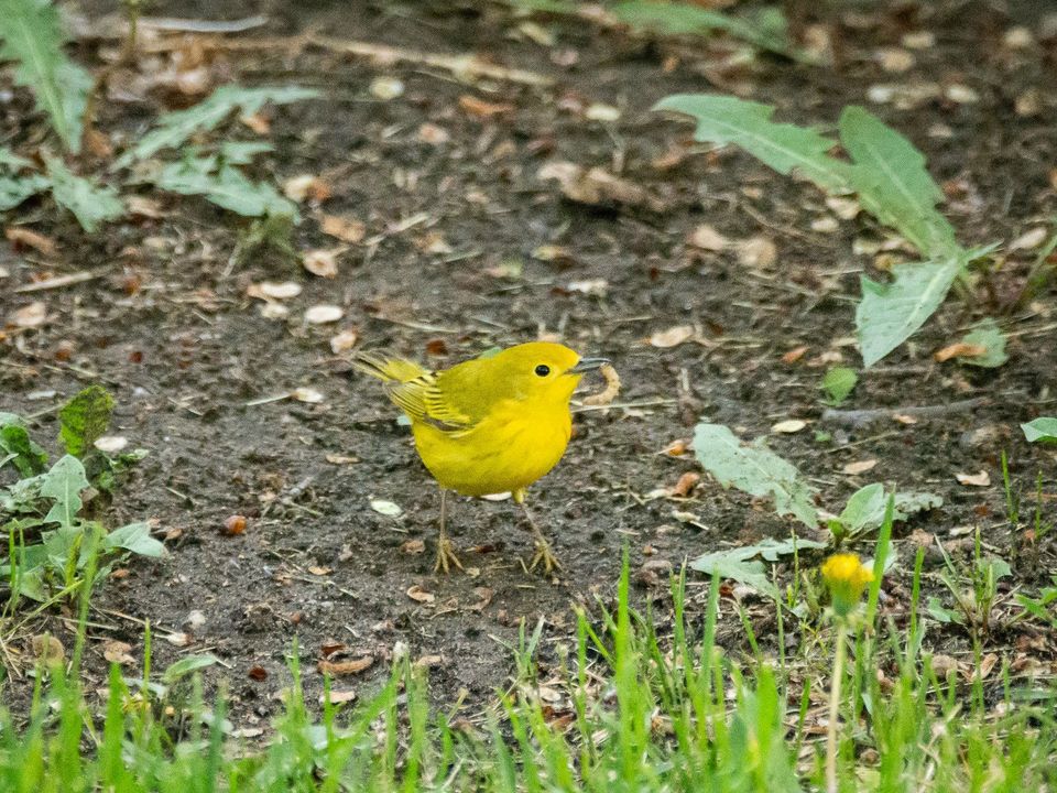 EcoWest News, September 19, 2023