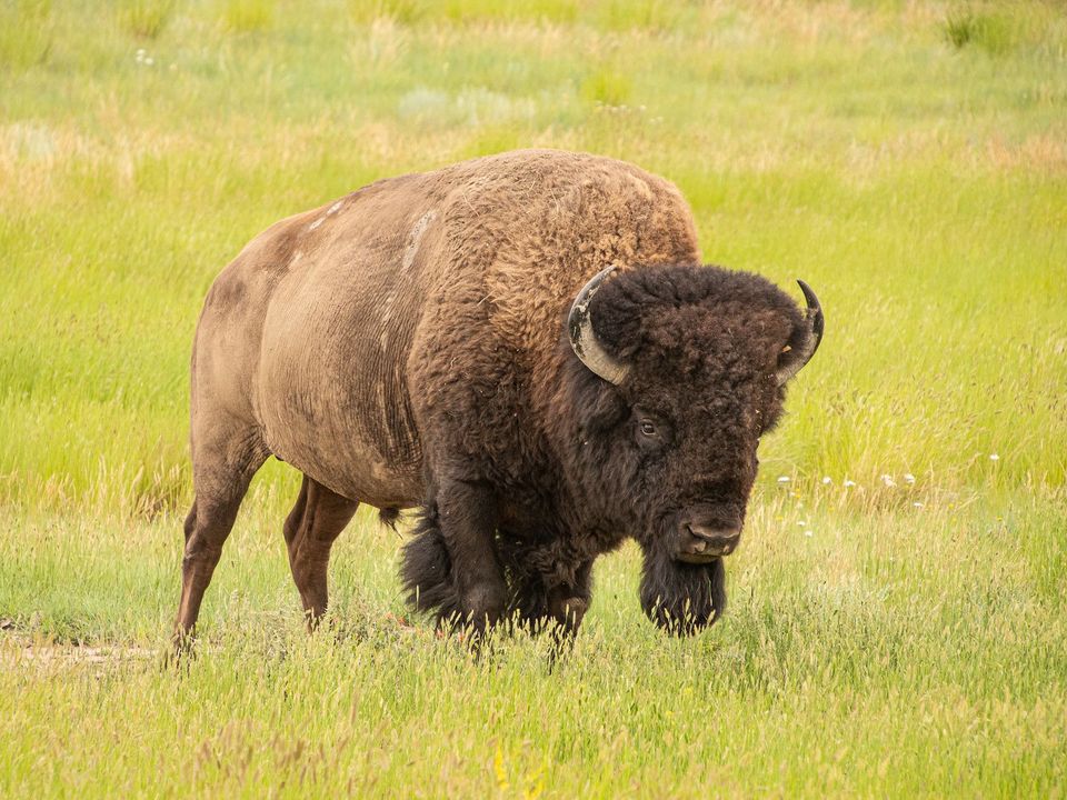 Book Review: Streams of Consequence: Dispatches from the Conservation World by Lorne Fitch