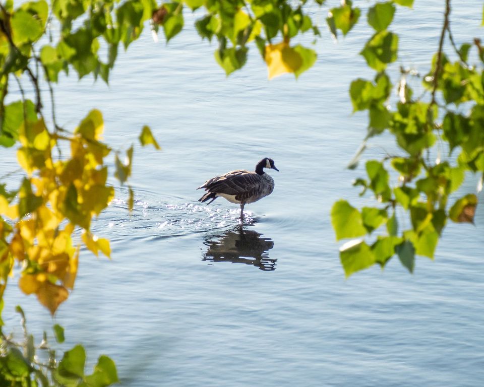 EcoWest News, September 12, 2023