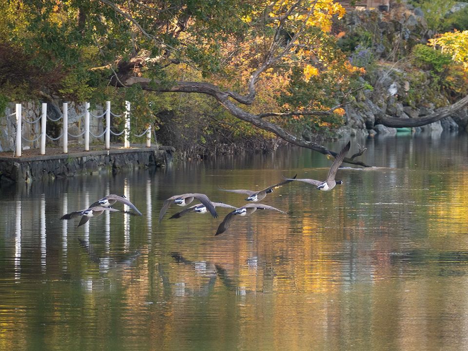 EcoWest News, October 31, 2023