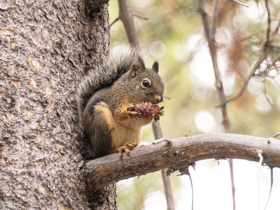 EcoWest News, November 7, 2023