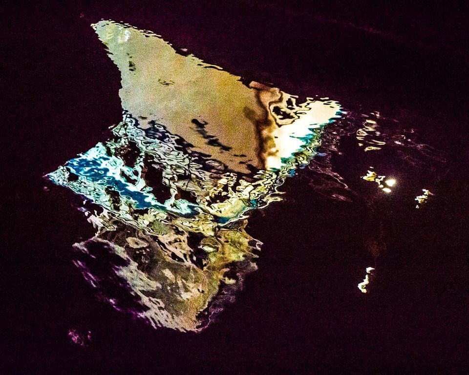 Holiday Reading 2023