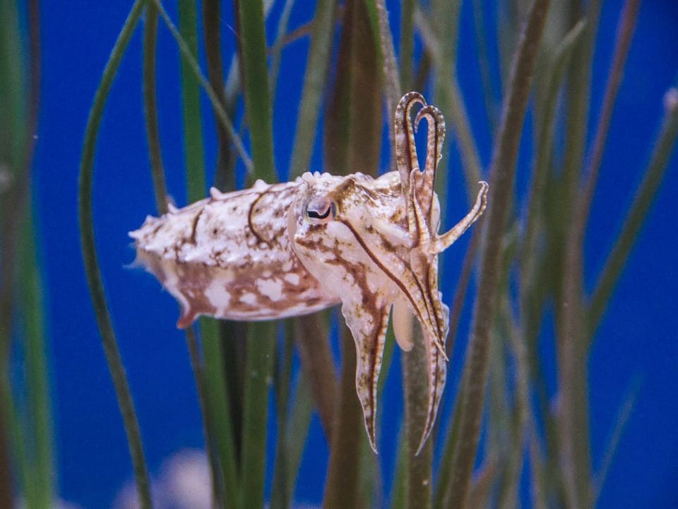 Holiday Special: Dressing Up