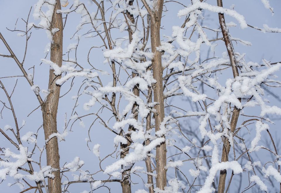 EcoWest News, January 9, 2024