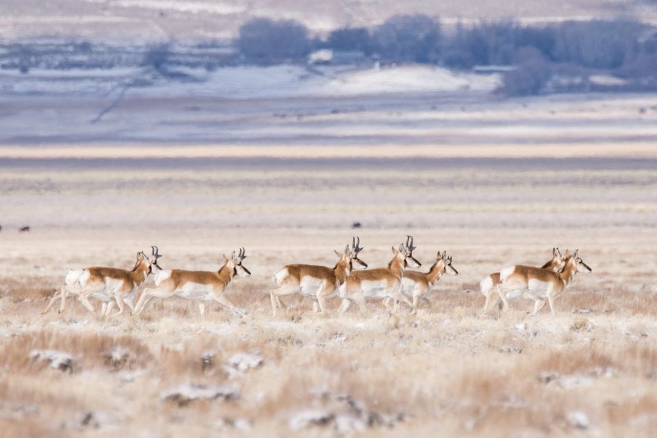 EcoWest News, January 23, 2024