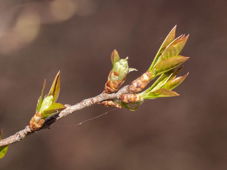 EcoWest News, April 23, 2024