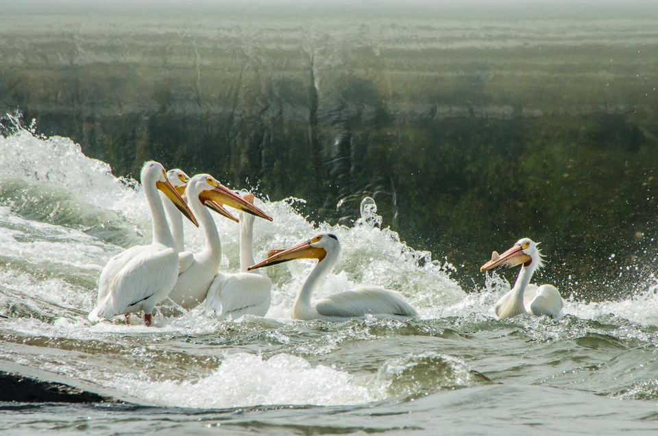 EcoWest News, April 9, 2024