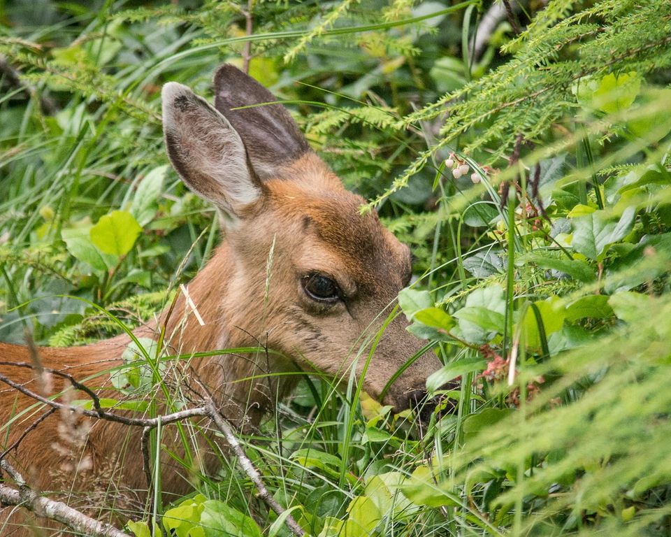 EcoWest News, May 14, 2024