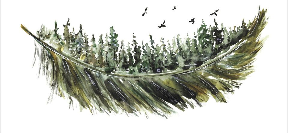 Book Review: Signs of Life by Sarah Cox