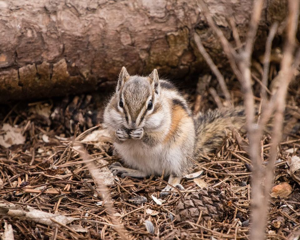 EcoWest News, July 16, 2024