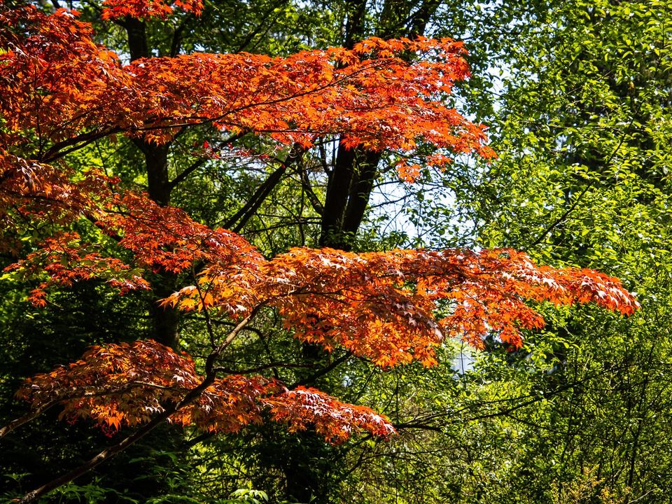 EcoWest News, September 3, 2024