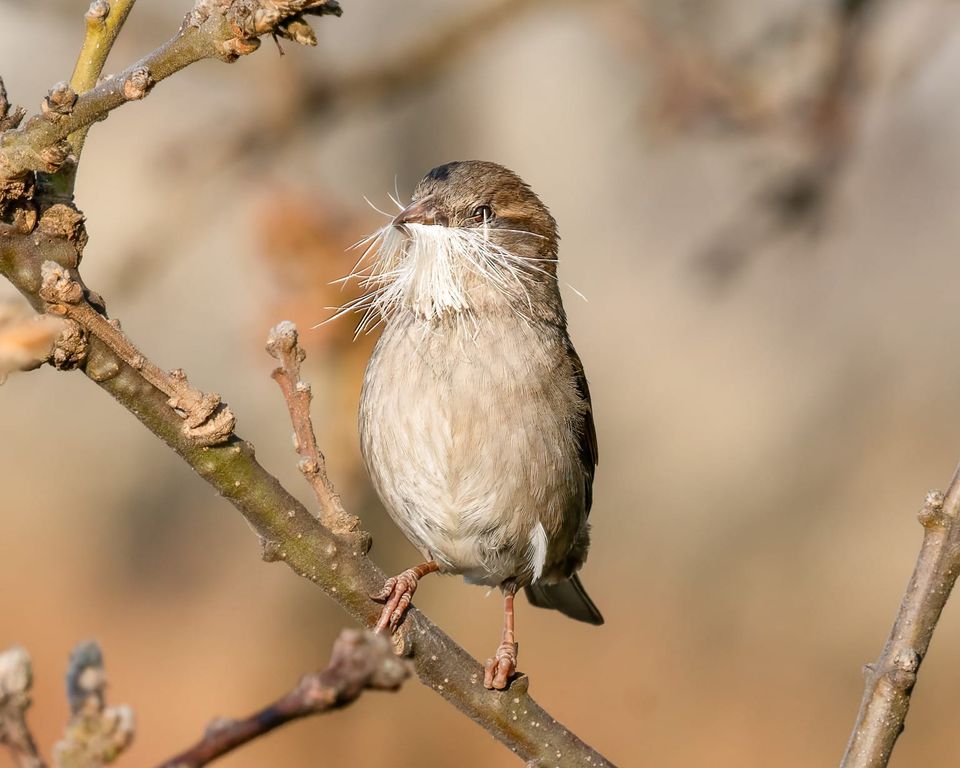 EcoWest News, May 6, 2025