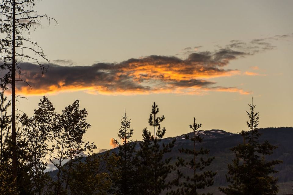 Community Leaders & Books: May 2025