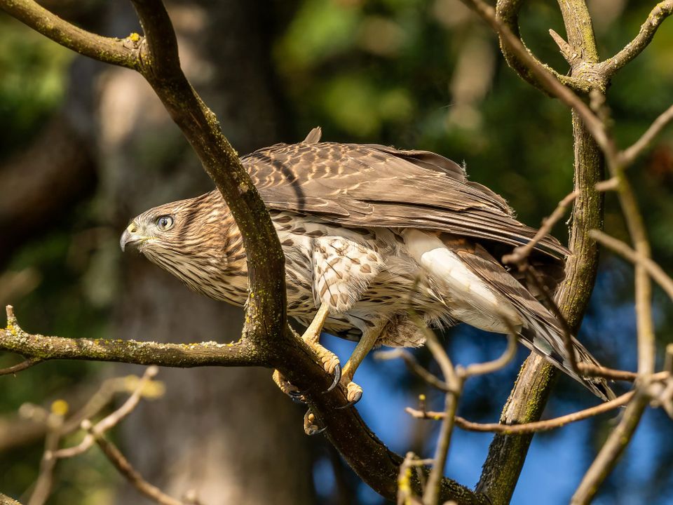 EcoWest News, August 19, 2025