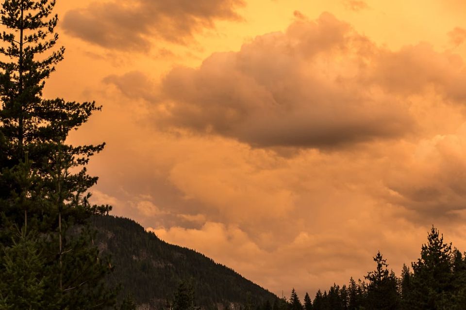 Community Leaders & Books: August 2025