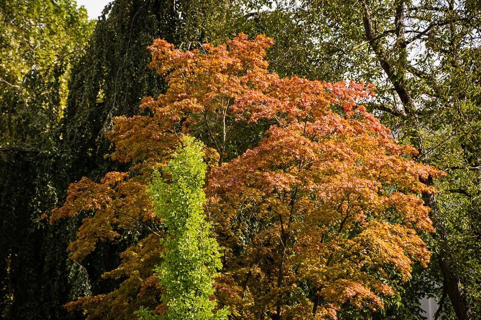 EcoWest News, September 16, 2025