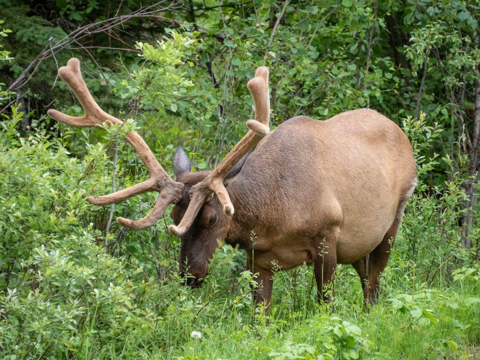 EcoWest News, September 23, 2025