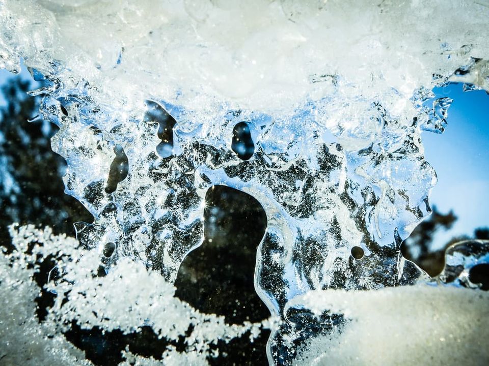 EcoWest News, December 9, 2025