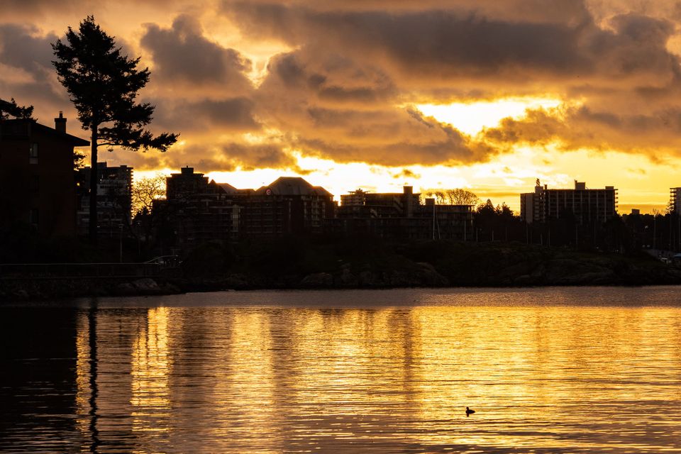 Community Leaders & Books: December 2025