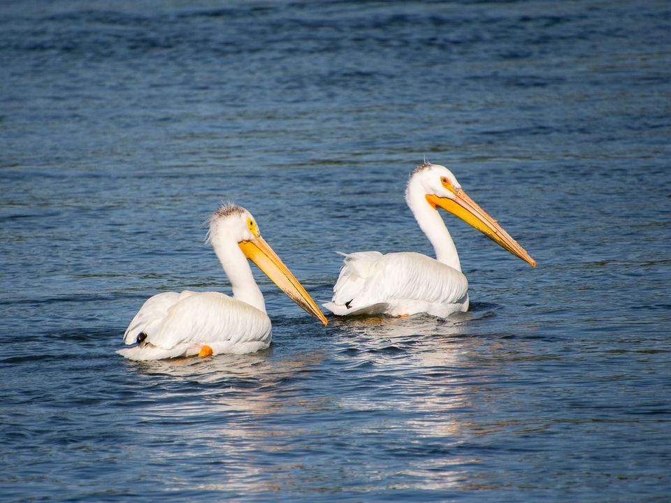 EcoWest News, April 21, 2026