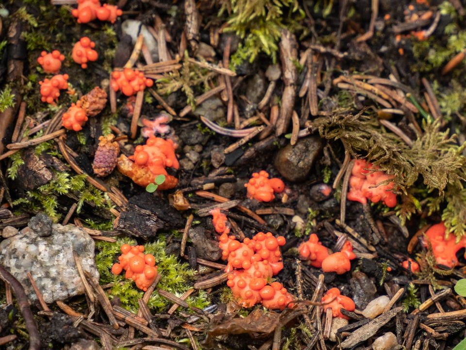 EcoWest News, April 28, 2026