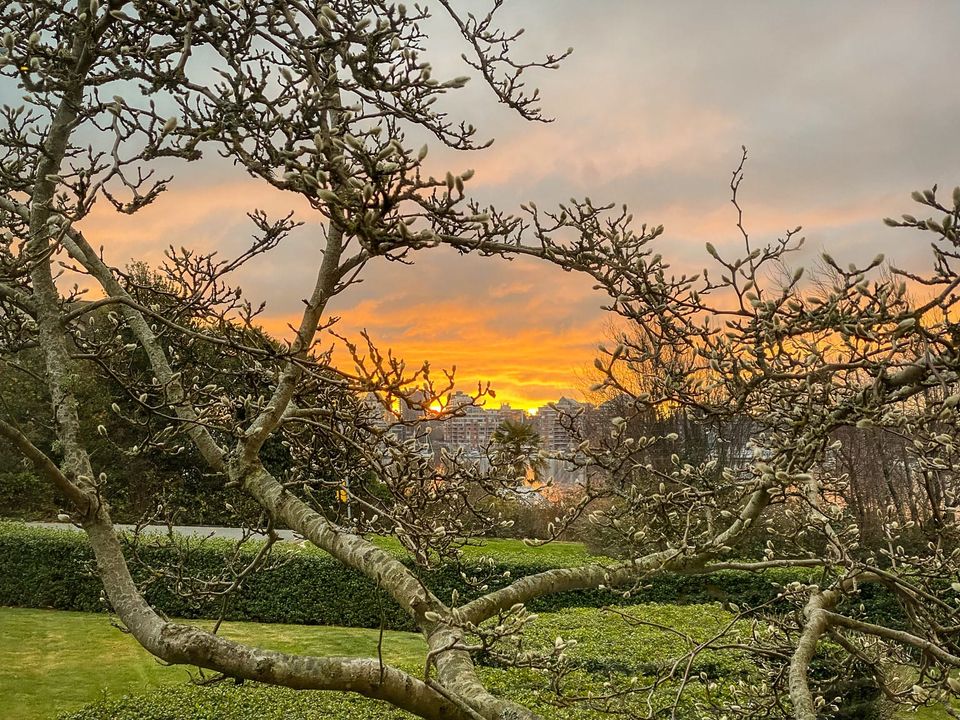 Community Leaders & Books: March 2026