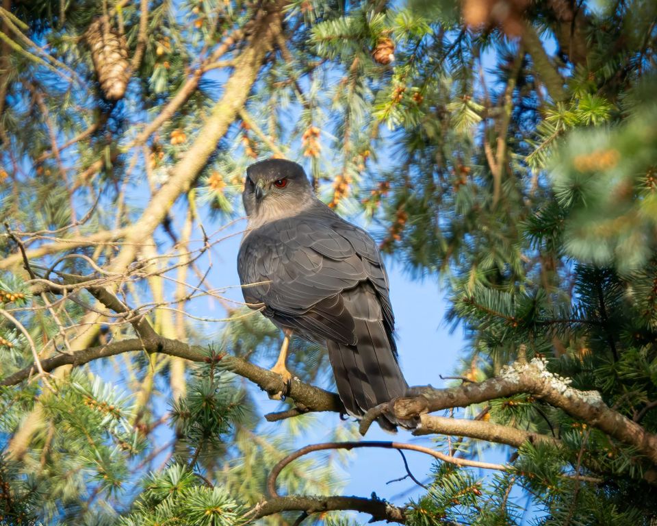 EcoWest News, April 7, 2026