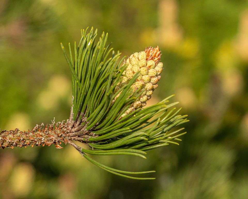 EcoWest News, May 12, 2026